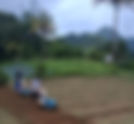 56 agricultural stakeholders strengthen vegetable production skills through FAO practical training in the Commonwealth of Dominica