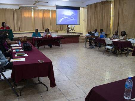 Department of Social Services Hosts Consultation on Status of Older Persons in Dominica