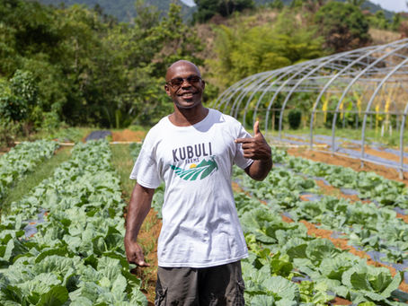 Kubuli Farms: Cultivating Innovation, Inclusion and Opportunity in Dominica