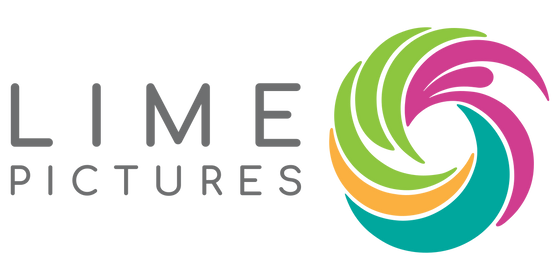 Script Editor - Lime Pictures