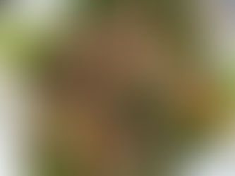 Asian Lettuce Wraps Leftovers