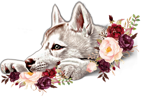 009B3388-41E7-4B80-93AA-75078B0E352D.PNG