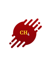 IMG_1824.PNG