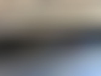 お客様がこられた?