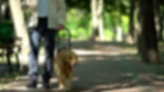 AdobeStock_291452367.jpeg