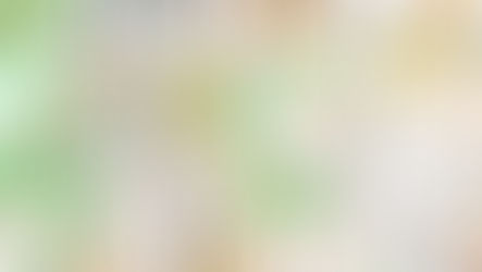 VTR i Alsted skov den 8. februar