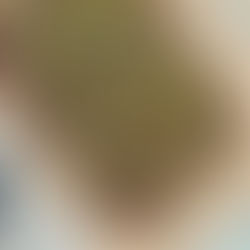 Chocolate & Pistachio Baked Oat Bars