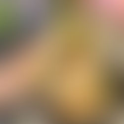 Chicken Mayo & Bacon Flatbreads