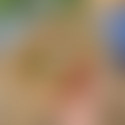 Greek Chicken Smash Flatbread