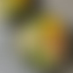 Salmon & Mango Poke Bowl