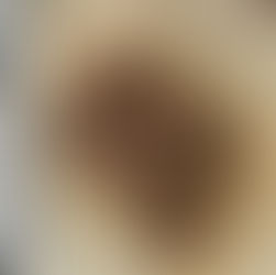 Hazelnut Chocolate Brownies