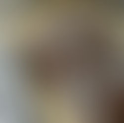 Chocolate Protein Brownies