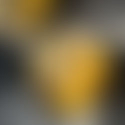 Mango & Banana Breakfast Bowl