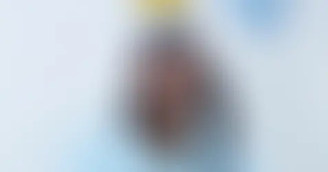 NO SKIPS: Blaqbonez "YOUNG PREACHER" - Album