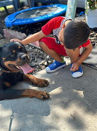 image1 - 2025-08-06T110817.018.jpeg