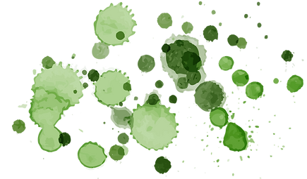 Watercolor Stain