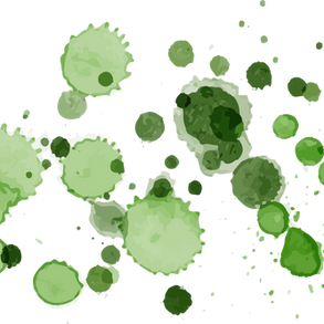My Celtic Journey Continues 24.....50 Shades of Green or more..