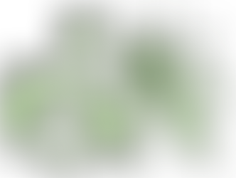 Was ist die neue Farbe des Jahres 2025?