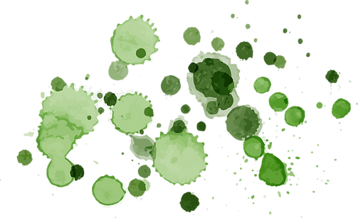 Watercolor Stain