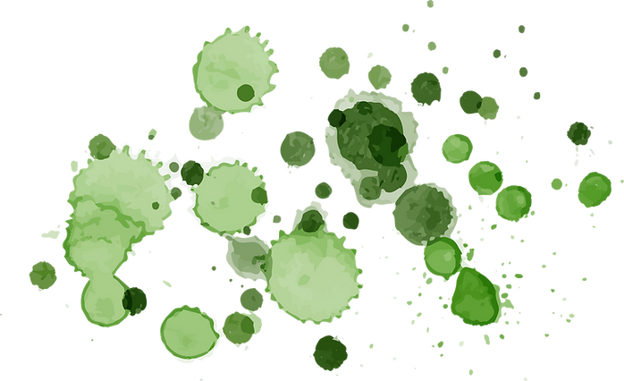 Aquarelle Stain