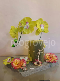 IMG-20160118-WA0001 (1)