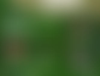 Directora del LEU es invitada al programa “La Ruta hacia una constitución Ecológica”