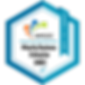 MBE BADGE.png