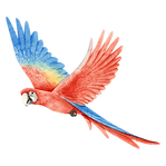 Bird two.png