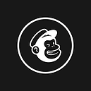 Mailchimp logo white small.png