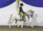 Supreme Gala & Pre-HOYS Show
