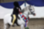 Selston Equine of the Year Show 2026