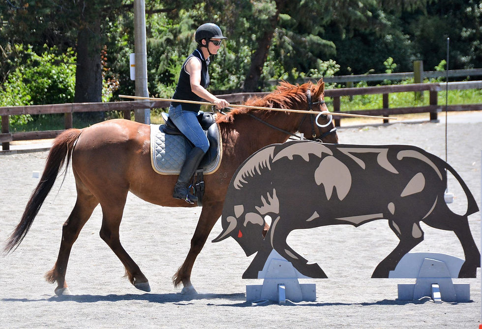 Working Equitation - Have a Go Clinic