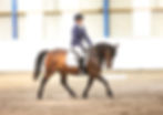 Summer Series Unaffiliated Dressage