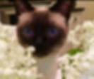 0_edited_edited_edited_edited