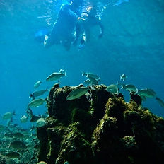 water life