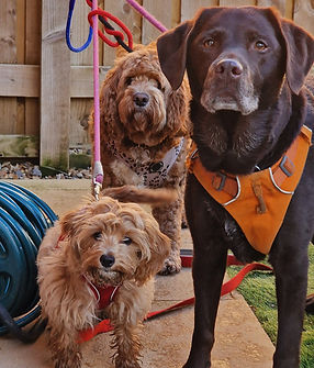 20240108_140007 (1).jpg