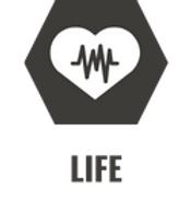 Life Icon.png