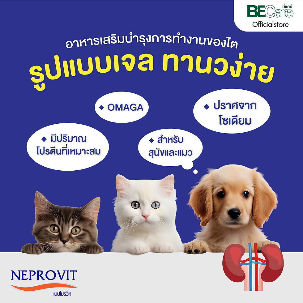 Thumbnail: Neprovit เจลอาหารเสริมเพิ่มพลังงานและสารอาหาร  ขนาด 30 กรัม