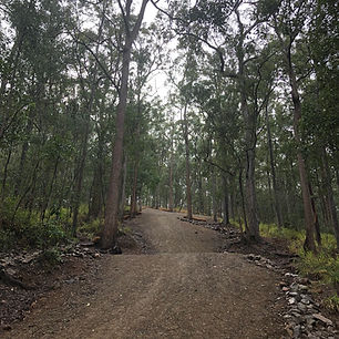 Mt Cootha Trail