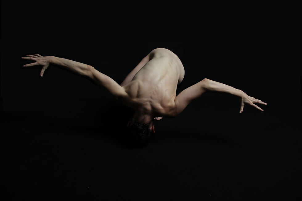 © Paolo Porto 2010