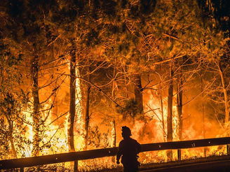 Os incendios forestais: un problema que cada vez vai a máis