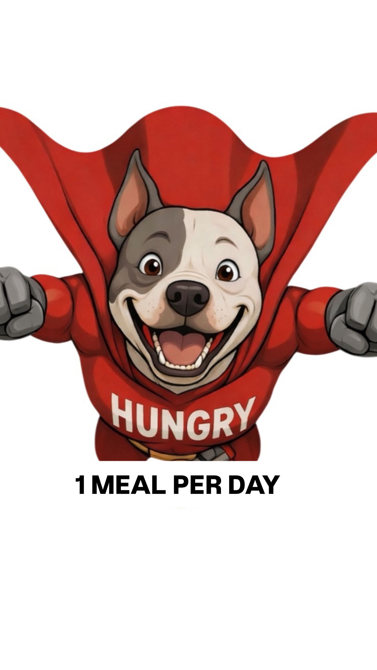 1 Meal Per Day