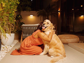 Hemp Seeds for Dogs & Cats: Skin, Coat, Digestion & Omega Balance