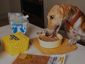 Bone Broth is the best thing for your Pets