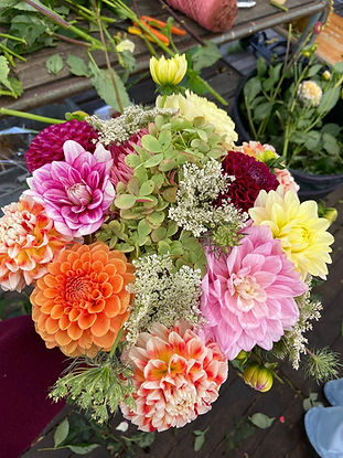 Lokale verkopers in tuinbouw Emmen