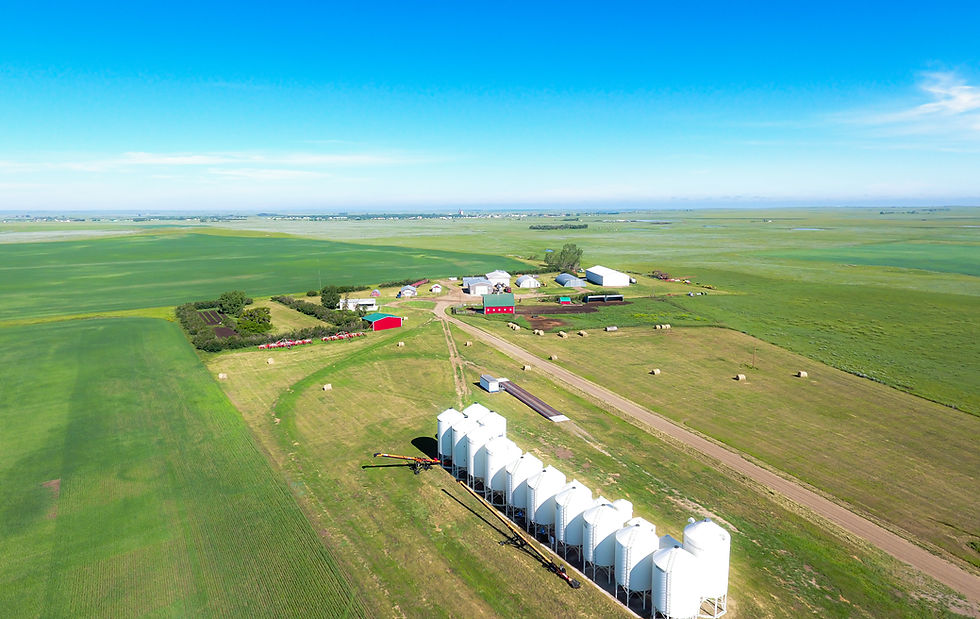 DJI_0009.jpg