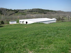 Horse Rescue Kentucky