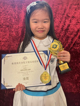 粵港澳大灣區文藝協會 榮譽榜