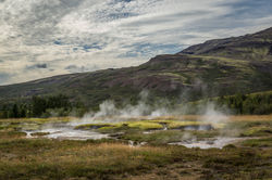 Geysir area