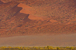 Sossusvlei
